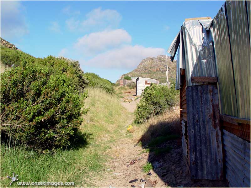 Hout Bay harbour