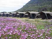 Hout Bay - enlarged image